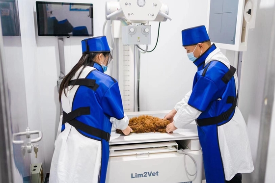 32KW Veteriner Tıbbi Ekipman Gerçek Zamanlı Fluoroskopi Makinesi DR