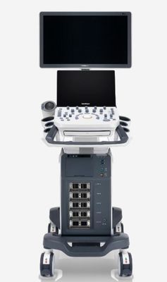 İyi bir fiyat. Pil Dahili P20 Dijital Renkli Doppler Ultrason Sistemi çevrimiçi