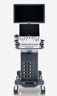 Good price Pil Dahili P20 Dijital Renkli Doppler Ultrason Sistemi çevrimiçi