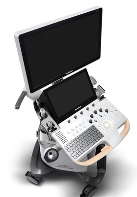 Good price Renkli Doppler Diyagnostik Ultrason Sistemi EKG Modülü P60'ta Oluşturuldu çevrimiçi